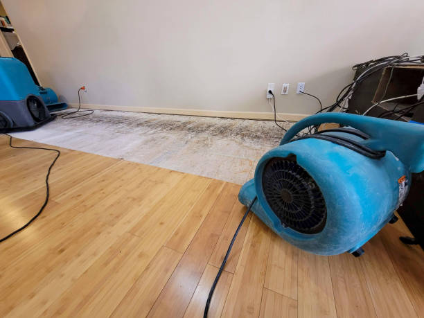 Professional Water Extraction technician working in Palmyra, IN